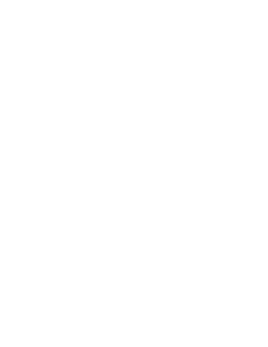 Alternative Logo